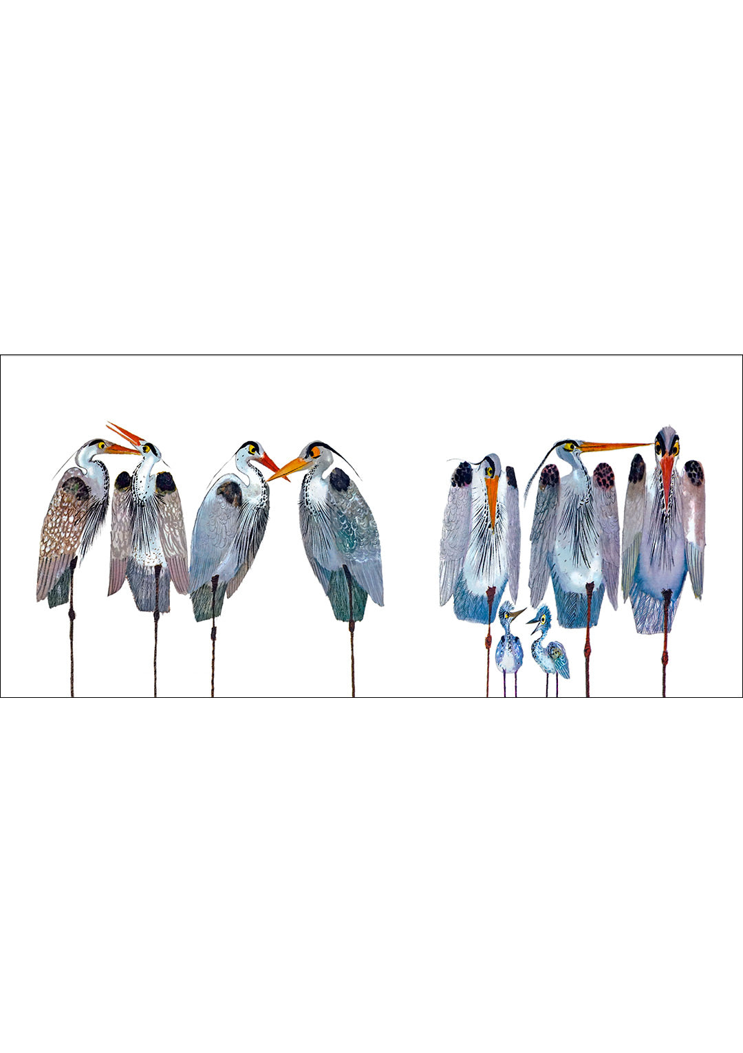 A sedge of herons.