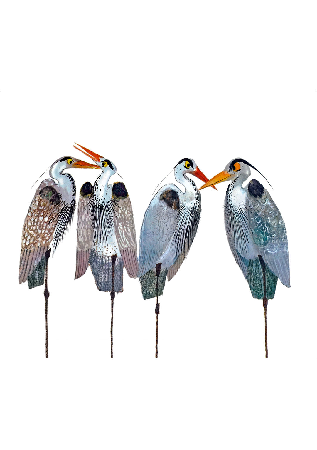A sedge of herons.