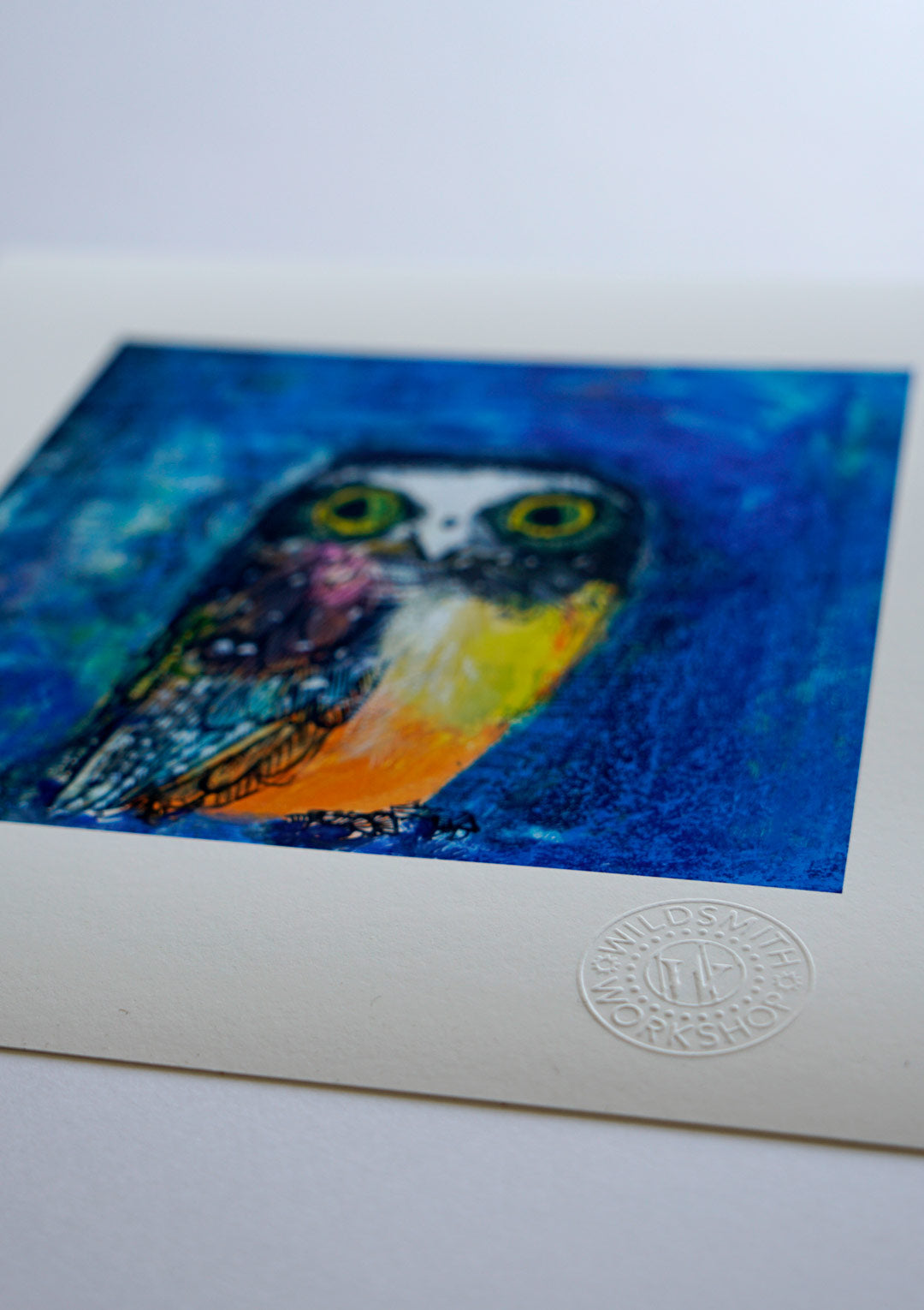Owlet Athena