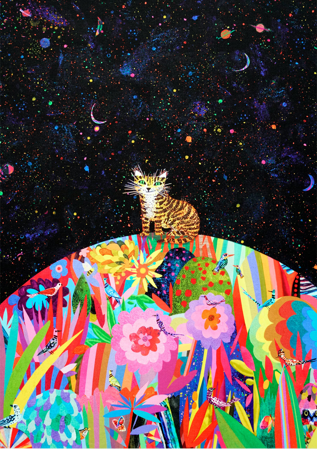 Magi Cat and friends.
